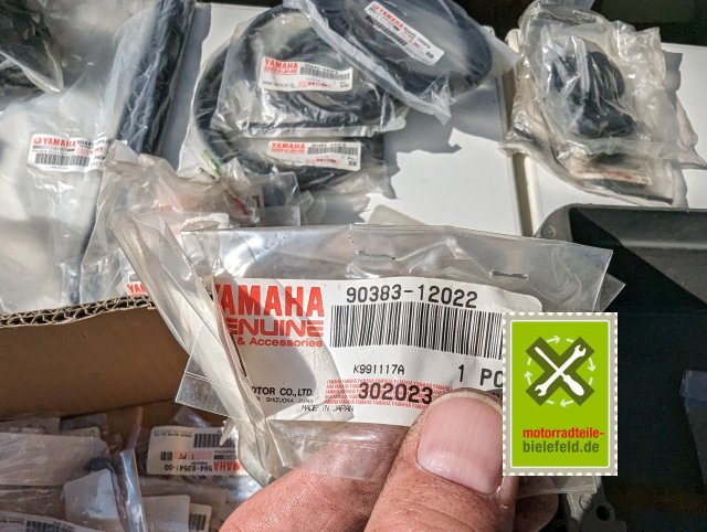 PXL_20240528_153445145